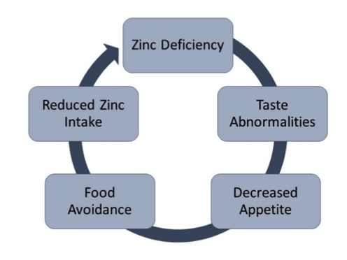 Figure 1: The Vicious Cycle of Zinc Deficiency